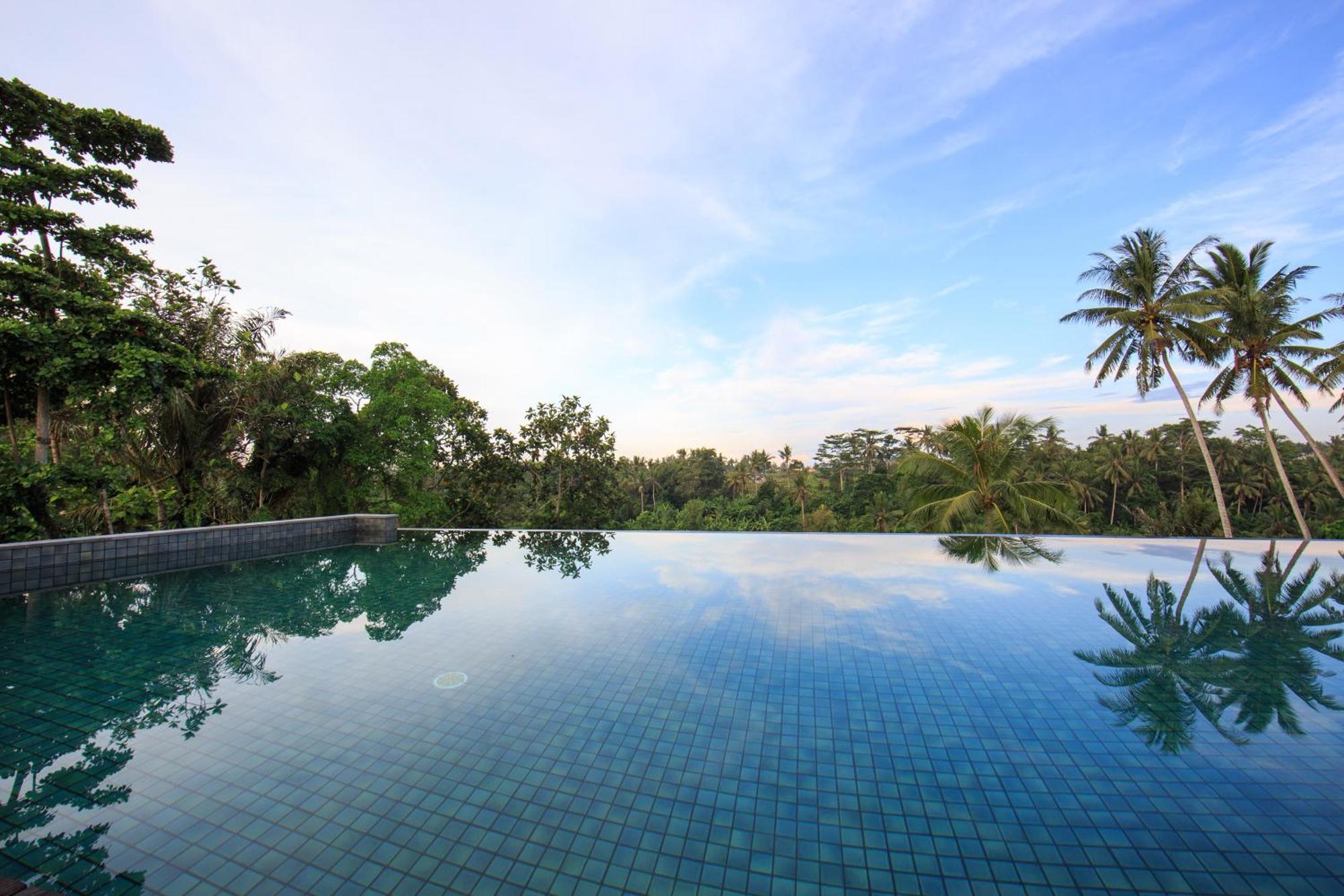 Tejaprana Bisma - Chse Certified Hotell Ubud Exteriör bild Infinity pool at the Alila Manggis